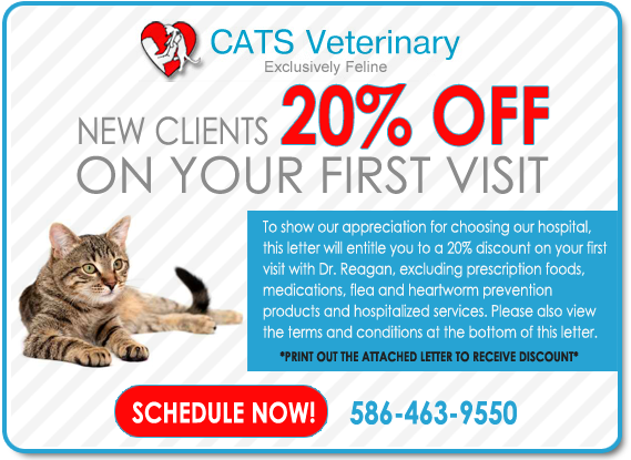 Cats Veterinary | Home